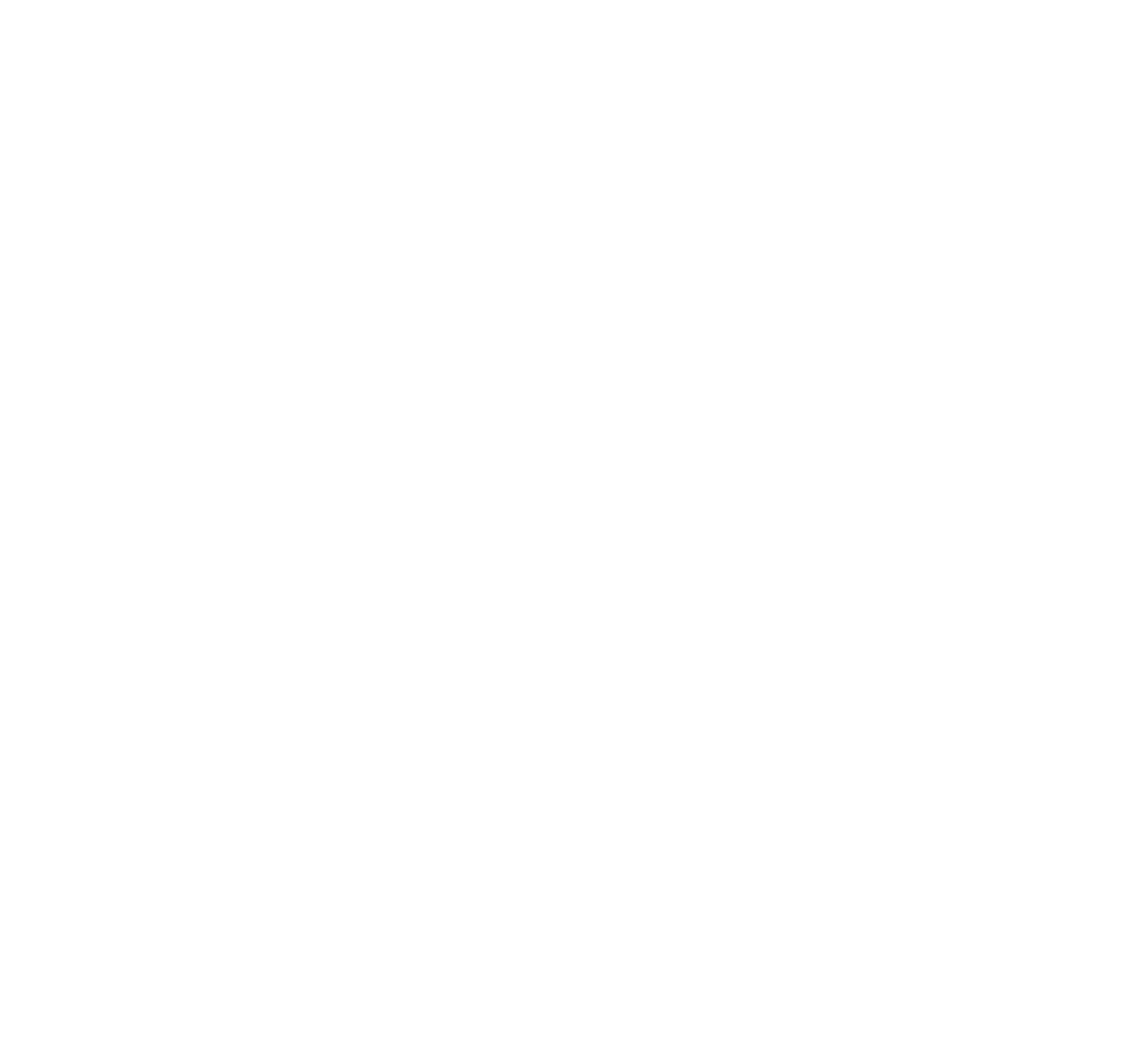 drago bolivia